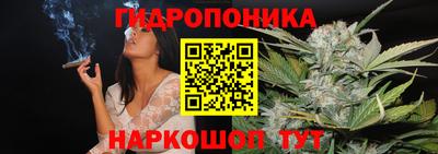 бошки Абакан